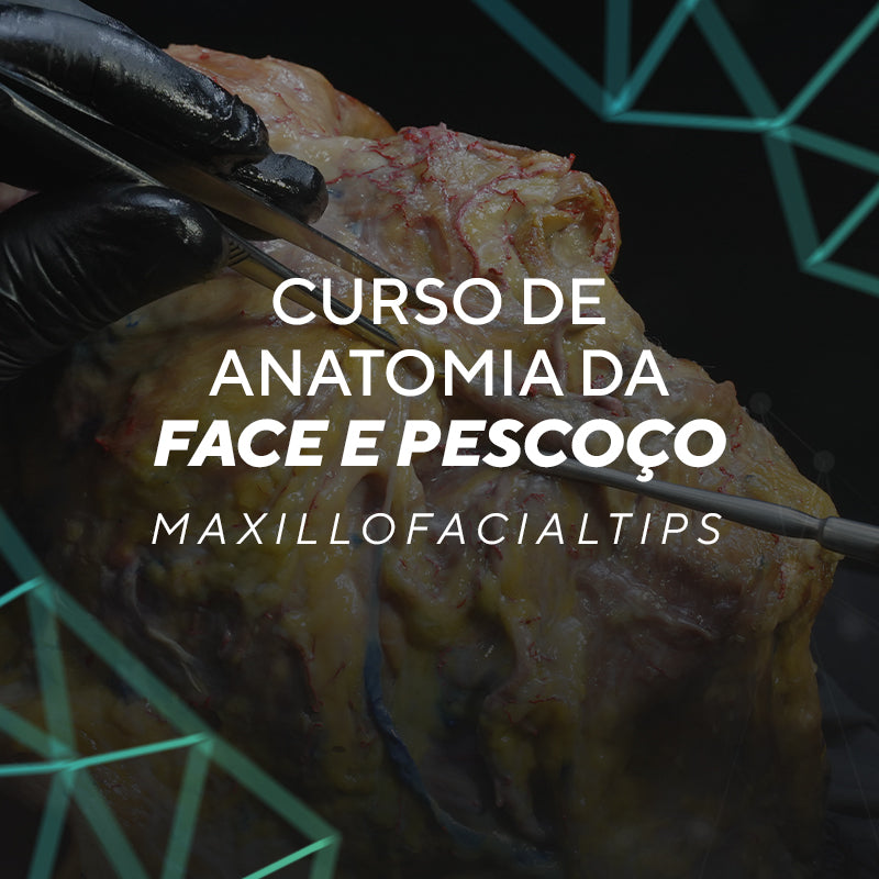 Curso Online de Anatomia da Face e Pescoço